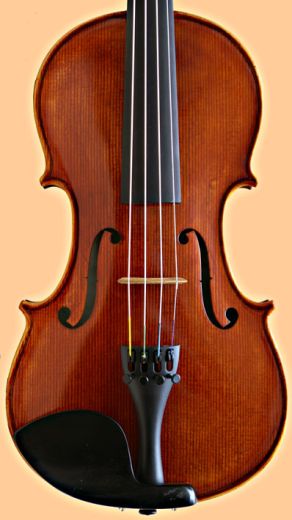 Violine
