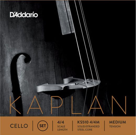 Kaplan Solutions Cello D-String